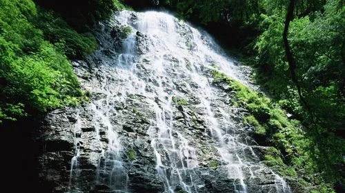 数字化高精度高性能